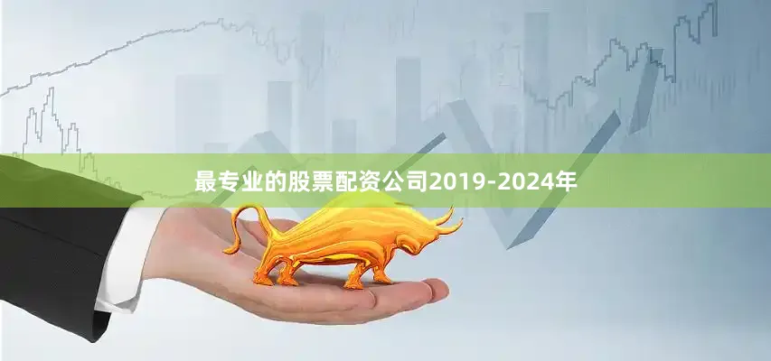 最专业的股票配资公司2019-2024年
