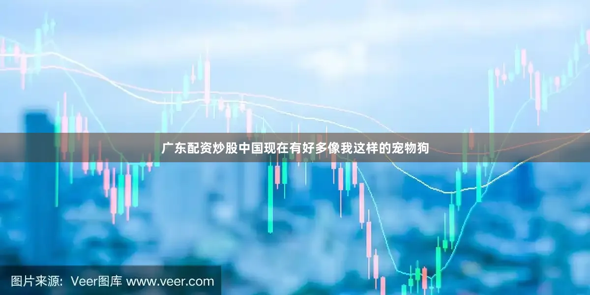 广东配资炒股中国现在有好多像我这样的宠物狗