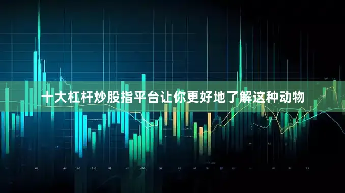 十大杠杆炒股指平台让你更好地了解这种动物