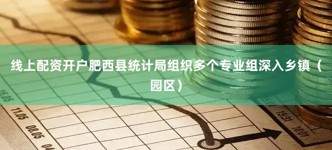 线上配资开户肥西县统计局组织多个专业组深入乡镇（园区）