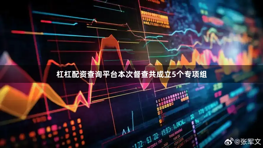 杠杠配资查询平台本次督查共成立5个专项组