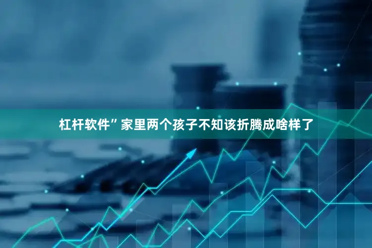 杠杆软件”家里两个孩子不知该折腾成啥样了