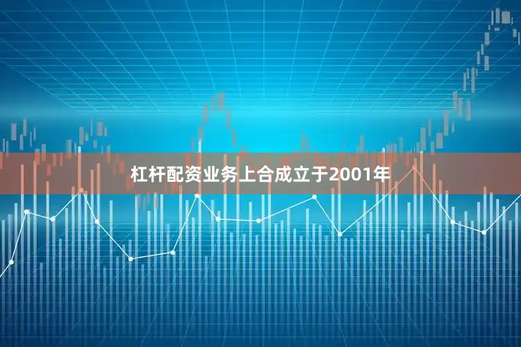 杠杆配资业务上合成立于2001年