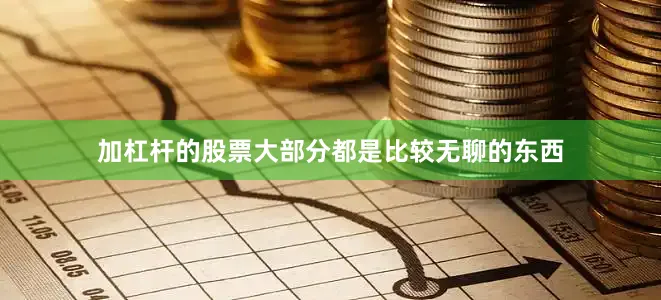加杠杆的股票大部分都是比较无聊的东西